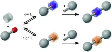 Graphical abstract: Temperature-induced large amplitude conformational change in the complex of oxatub[4]arene revealed via rotaxane synthesis