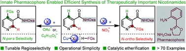 Graphical abstract: Innate pharmacophore assisted selective C–H functionalization to therapeutically important nicotinamides
