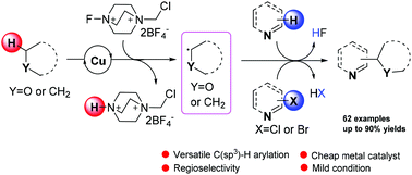 Graphical abstract: Copper-catalyzed versatile C(sp3)–H arylation: synthetic scope and regioselectivity investigations