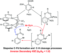 Graphical abstract: Pd(ii)/Ag(i)-Cocatalyzed ortho direct arylation of O-phenylcarbamates with pinacol aryl boronates