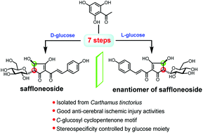 Graphical abstract: Stereospecific acyloin ring contraction controlled by glucose and concise total synthesis of saffloneoside