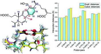 Graphical abstract: Synergistic use of NMR computation and quantitative interproton distance analysis in the structural determination of neokadcoccitane A, a rearranged triterpenoid featuring an aromatic ring D from Kadsura coccinea