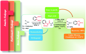 Graphical abstract: 2-Methoxyphenyl isocyanate: a chemoselective multitasking reagent for an amine protection/deprotection sequence