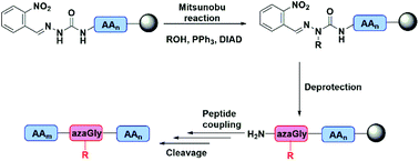 Graphical abstract: Diversity-oriented submonomer synthesis of azapeptides mediated by the Mitsunobu reaction