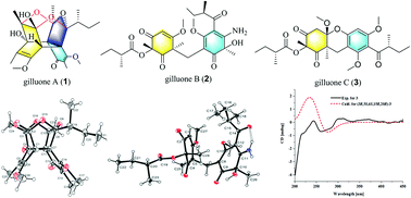 Graphical abstract: Phloroglucinol heterodimers and bis-indolyl alkaloids from the sponge-derived fungus Aspergillus sp. SCSIO 41018