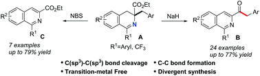 Graphical abstract: Tuneable access to isoquinolines via a transition-metal-free C(sp3)–C(sp3) bond cleavage rearrangement reaction