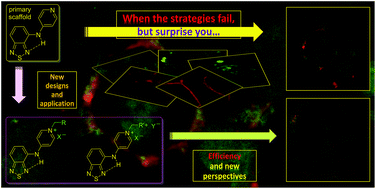 Graphical abstract: When the strategies for cellular selectivity fail. Challenges and surprises in the design and application of fluorescent benzothiadiazole derivatives for mitochondrial staining