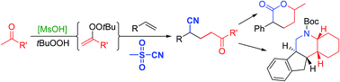 Graphical abstract: Radical addition of ketones and cyanide to olefins via acid catalyzed formation of intermediate alkenyl peroxides