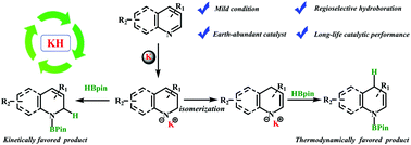 Graphical abstract: Regioselective 1,2-hydroboration of N-heteroarenes using a potassium-based catalyst