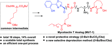 Graphical abstract: Scalable total synthesis of a mycobactin T analogue utilizing a novel synthetic and protection strategy