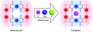 Graphical abstract: Highly efficient synthesis of hydrogen-bonded aromatic tetramers as macrocyclic receptors for selective recognition of lithium ions