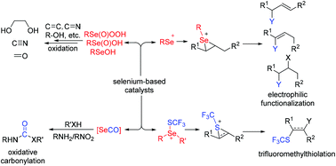 Graphical abstract: Recent progress in selenium-catalyzed organic reactions