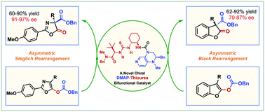Graphical abstract: A novel chiral DMAP–thiourea bifunctional catalyst catalyzed enantioselective Steglich and Black rearrangement reactions