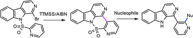 Graphical abstract: Access to 2-substituted 1-pyridin-3-yl-β-carboline derivatives by intramolecular radical cyclization-ring opening-SNAr substitution