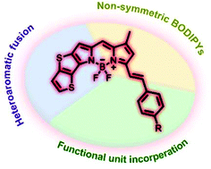 Graphical abstract: Non-symmetric thieno[3,2-b]thiophene-fused BODIPYs: synthesis, spectroscopic properties and providing a functional strategy for NIR probes