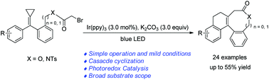 Graphical abstract: Cascade cyclization reactions of alkylidenecyclopropanes for the construction of polycyclic lactams and lactones by visible light photoredox catalysis