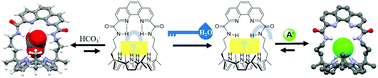 Graphical abstract: Phenanthroline-strapped calix[4]pyrroles: anion receptors displaying affinity reversal as a function of solvent polarity