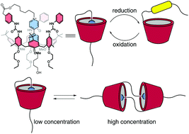 Graphical abstract: Synthesis and properties of a redox-switchable calix[6]arene-based molecular lasso