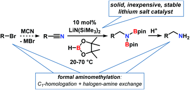 Graphical abstract: Lithium amide catalyzed hydroboration of nitriles