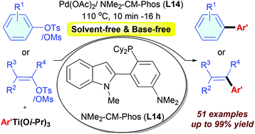 Graphical abstract: Palladium-catalyzed cross-coupling of (hetero)aryl or alkenyl sulfonates with aryl titanium as the multi-functional reagent