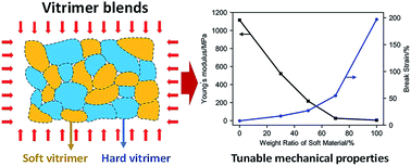 Graphical abstract: Recycling of vitrimer blends with tunable thermomechanical properties