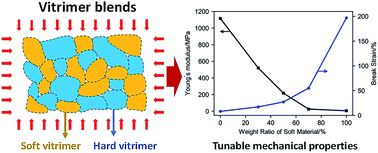 Recycling of vitrimer blends with tunable thermomechanical properties ...