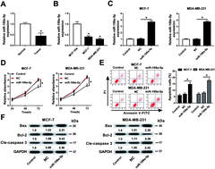 Graphical abstract: Retracted Article: Gemcitabine aggravates miR-199a-5p-mediated breast cancer cell apoptosis by promoting VEGFA downregulation via inactivating the AKT signaling pathway