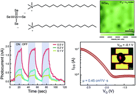 Graphical abstract: A facile synthetic route to tungsten diselenide using a new precursor containing a long alkyl chain cation for multifunctional electronic and optoelectronic applications