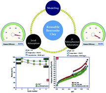 Graphical abstract: Reusable bentonite clay: modelling and optimization of hazardous lead and p-nitrophenol adsorption using a response surface methodology approach