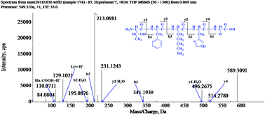 Graphical abstract: Retracted Article: Structural characterization of peptides from Locusta migratoria manilensis (Meyen, 1835) and anti-aging effect in Caenorhabditis elegans
