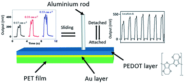 Graphical abstract: Motion sensors achieved from a conducting polymer-metal Schottky contact