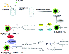 Graphical abstract: Facile preparation of amidoxime-functionalized Fe3O4@SiO2-g-PAMAM-AO magnetic composites for enhanced adsorption of Pb(ii) and Ni(ii) from aqueous solution