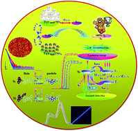 Graphical abstract: Efficient electroluminescent hybridized local and charge-transfer host materials with small singlet–triplet splitting to enhance exciton utilization efficiency: excited state transition configuration