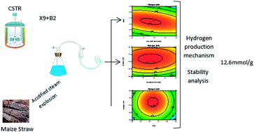 Graphical abstract: Study on the hydrogen production ability of high-efficiency bacteria and synergistic fermentation of maize straw by a combination of strains