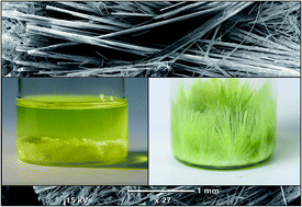 Graphical abstract: One-dimensional facile growth of MAPbI3 perovskite micro-rods