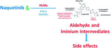 Graphical abstract: Reactive intermediates in naquotinib metabolism identified by liquid chromatography-tandem mass spectrometry: phase I metabolic profiling