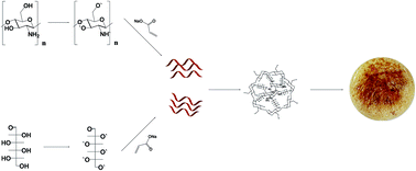 Graphical abstract: Optimized synthesis of novel hydrogel for the adsorption of copper and cobalt ions in wastewater