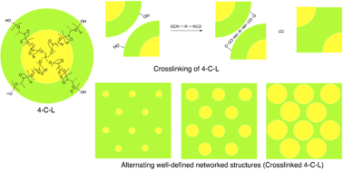 Graphical abstract: A versatile strategy for the synthesis and mechanical property manipulation of networked biodegradable polymeric materials composed of well-defined alternating hard and soft domains