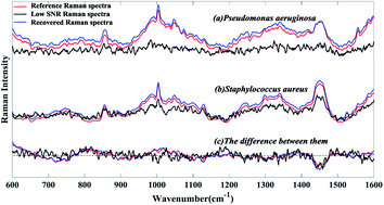 Graphical abstract: Weighted spectral reconstruction method for discrimination of bacterial species with low signal-to-noise ratio Raman measurements