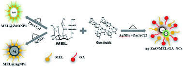 Graphical abstract: Comparative study of antidiabetic, bactericidal, and antitumor activities of MEL@AgNPs, MEL@ZnONPs, and Ag–ZnO/MEL/GA nanocomposites prepared by using MEL and gum arabic