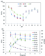 Graphical abstract: Biosorption of anionic and cationic dyes via raw and chitosan oligosaccharide-modified Huai Flos Chrysanthemum at different temperatures