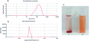 Graphical abstract: Construction of a water-soluble and photostable rubropunctatin/β-cyclodextrin drug carrier