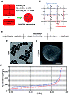 Graphical abstract: Endosomal/lysosomal location of organically modified silica nanoparticles following caveolae-mediated endocytosis