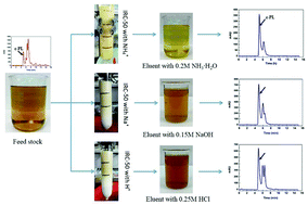 Graphical abstract: Effect of ion form of the ion-exchange resin on ε-poly-l-lysine purification from microbial fermentation broth