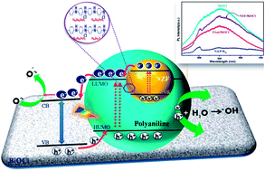 Graphical abstract: Photocatalytic activity of Ni0.5Zn0.5Fe2O4@polyaniline decorated BiOCl for azo dye degradation under visible light – integrated role and degradation kinetics interpretation