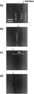 Graphical abstract: Kinetic inhibition effect of Type I and III antifreeze proteins on unidirectional tetrahydrofuran hydrate crystal growth