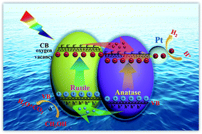 Graphical abstract: Homojunction and defect synergy-mediated electron–hole separation for solar-driven mesoporous rutile/anatase TiO2 microsphere photocatalysts