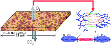 Graphical abstract: Nanostructured poly(l-lactic acid)–poly(ethylene glycol)–poly(l-lactic acid) triblock copolymers and their CO2/O2 permselectivity