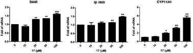 Graphical abstract: Discovery of methylpyrimidine ring-fused diterpenoid analogs as a novel testosterone synthesis promoter