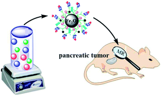 Graphical abstract: Hyaluronic acid-mediated multifunctional iron oxide-based MRI nanoprobes for dynamic monitoring of pancreatic cancer